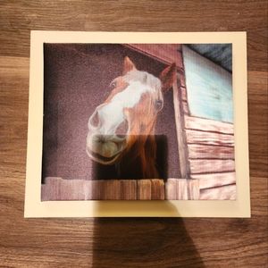 Horse wall picture